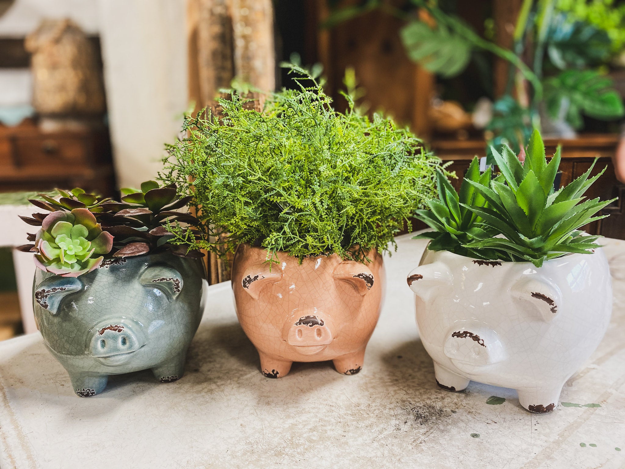 Pig vase deals